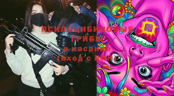 дурь Балахна
