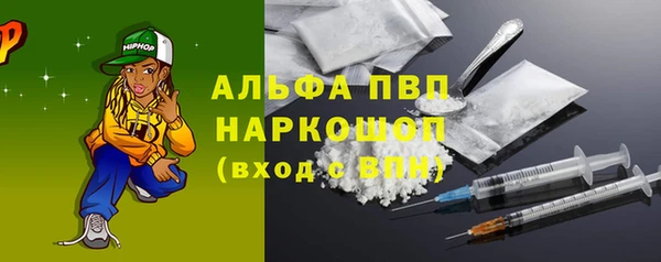 эйфоретик Баксан