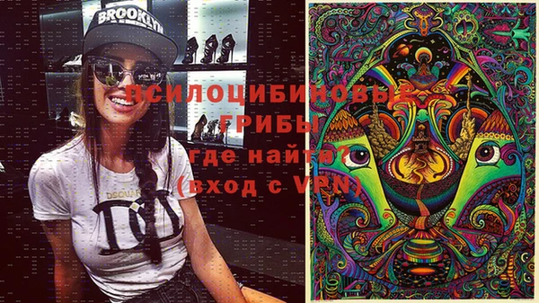 эйфоретик Баксан