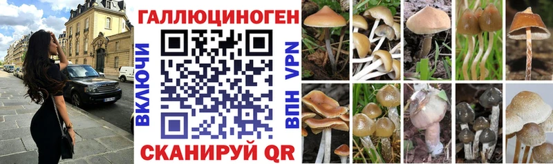 купить  цена  Корсаков  Галлюциногенные грибы MAGIC MUSHROOMS 
