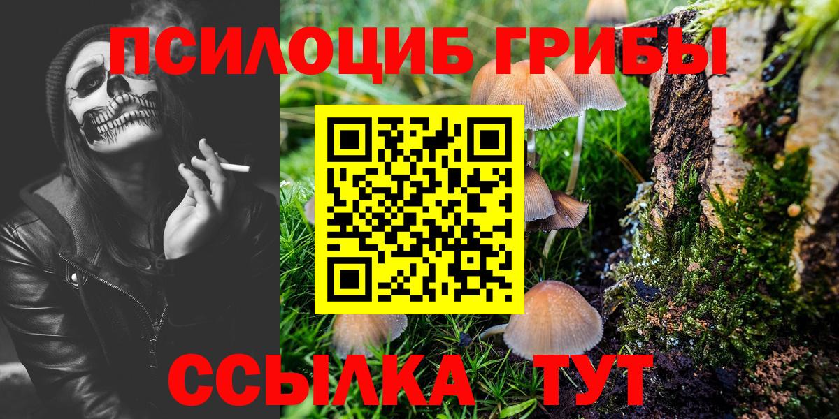 Корсаков  Псилоцибиновые грибы Cubensis  Вход с VPN 